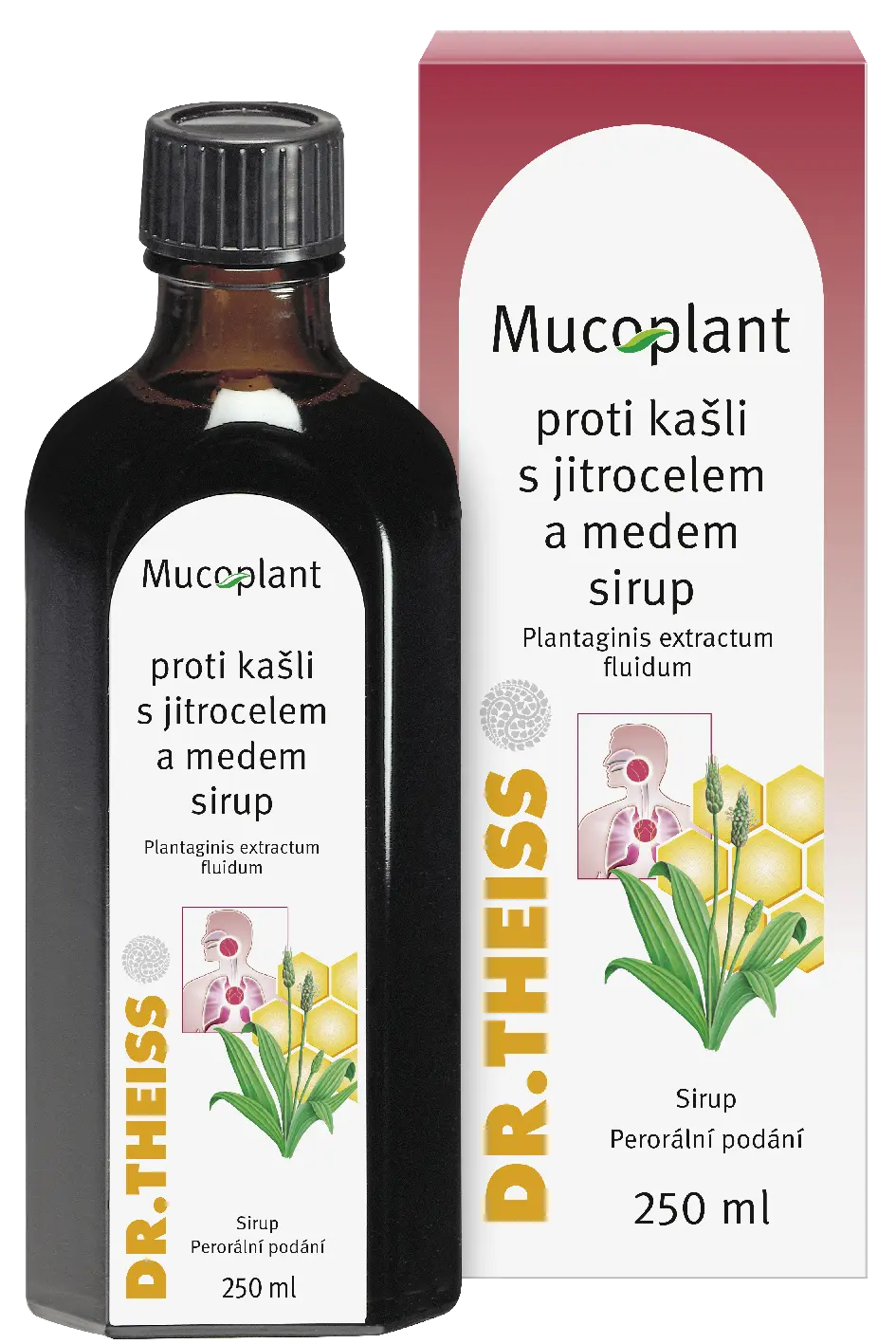 135_S JITROCELEM A MEDEM_250_CZ